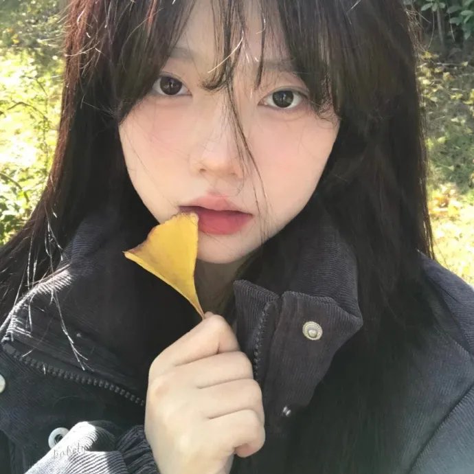 黑艳凤